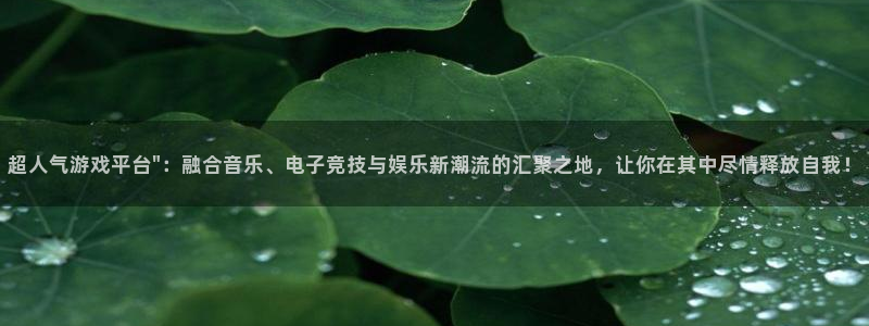 天狮娱乐：超人气游戏平台\