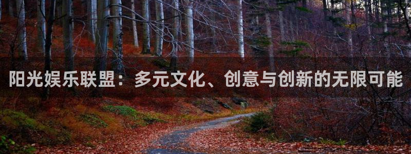 天狮娱乐：阳光娱乐联盟：多元文化、创意与创新的无限可能