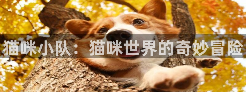 天狮娱乐：猫咪小队：猫咪世界的奇妙冒险