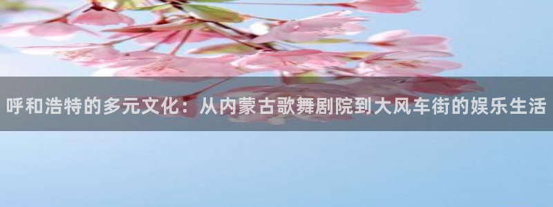 天狮娱乐：呼和浩特的多元文化：从内蒙古歌舞剧院到大风车街的娱乐生活