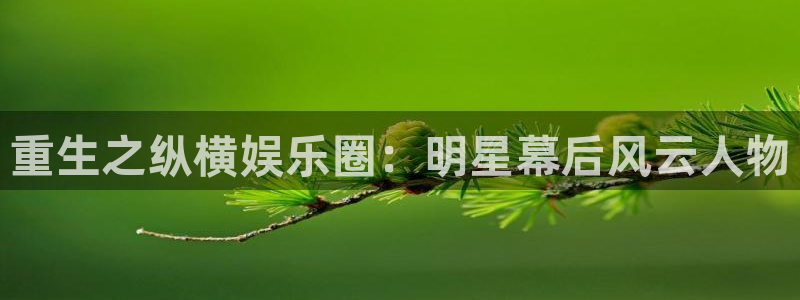 天狮娱乐：重生之纵横娱乐圈：明星幕后风云人物
