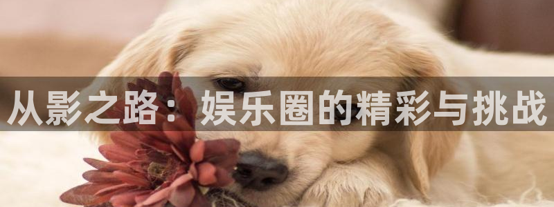 天狮娱乐：从影之路：娱乐圈的精彩与挑战