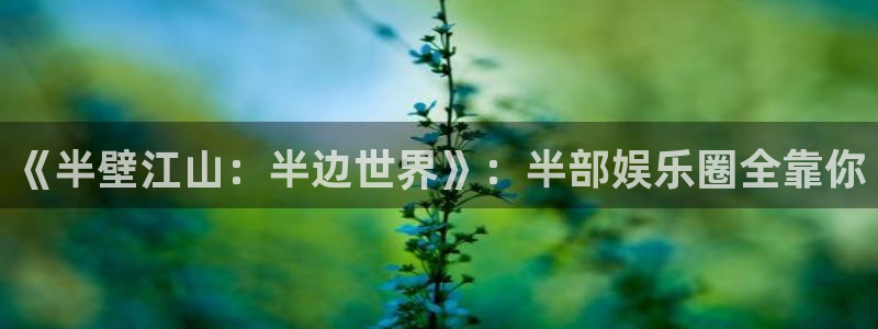 天狮娱乐：《半壁江山：半边世界》：半部娱乐圈全靠你