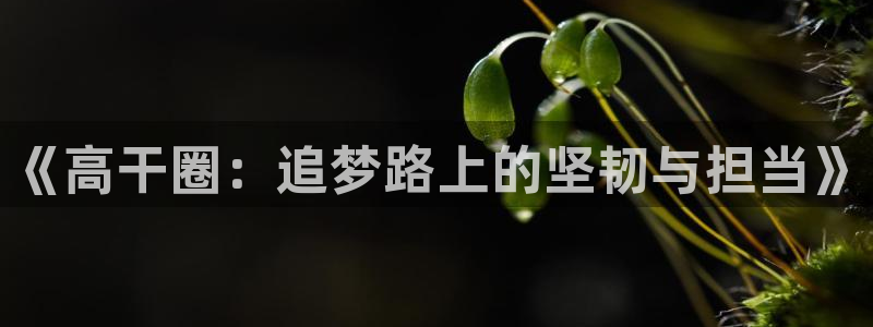 天狮娱乐：《高干圈：追梦路上的坚韧与担当》