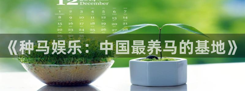 天狮娱乐：《种马娱乐：中国最养马的基地》