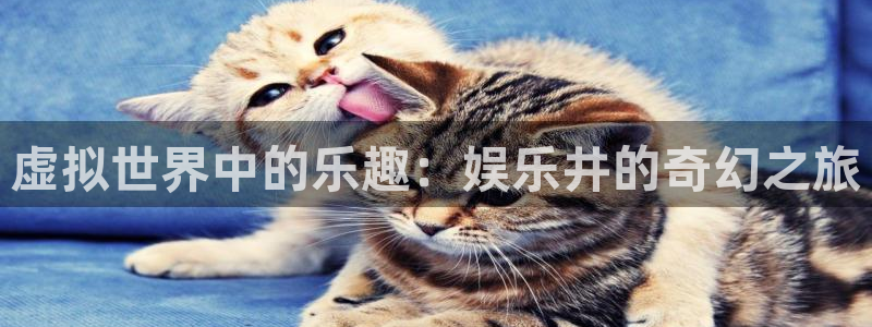 天狮娱乐：虚拟世界中的乐趣：娱乐井的奇幻之旅