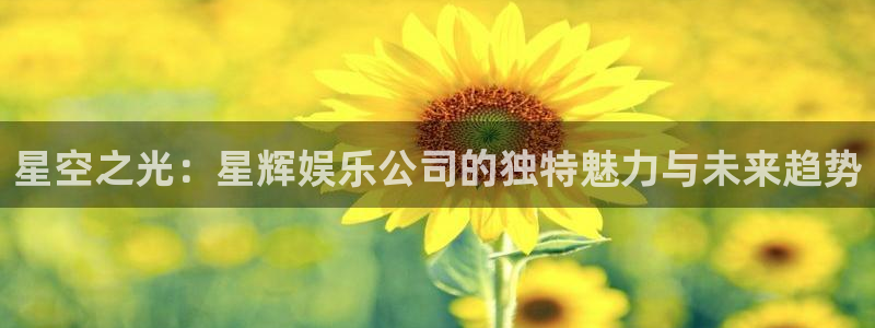 天狮娱乐：星空之光：星辉娱乐公司的独特魅力与未来趋势