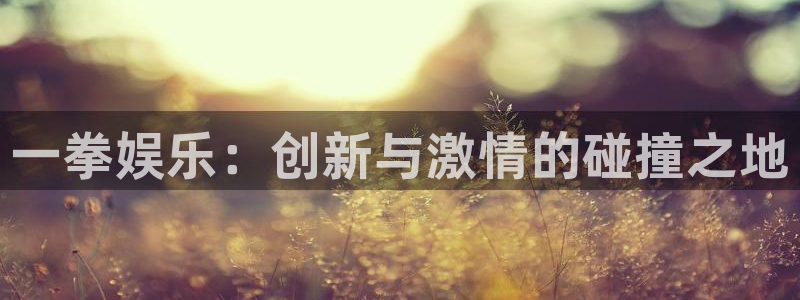 天狮娱乐：一拳娱乐：创新与激情的碰撞之地