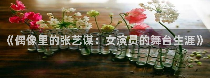 天狮娱乐：《偶像里的张艺谋：女演员的舞台生涯》